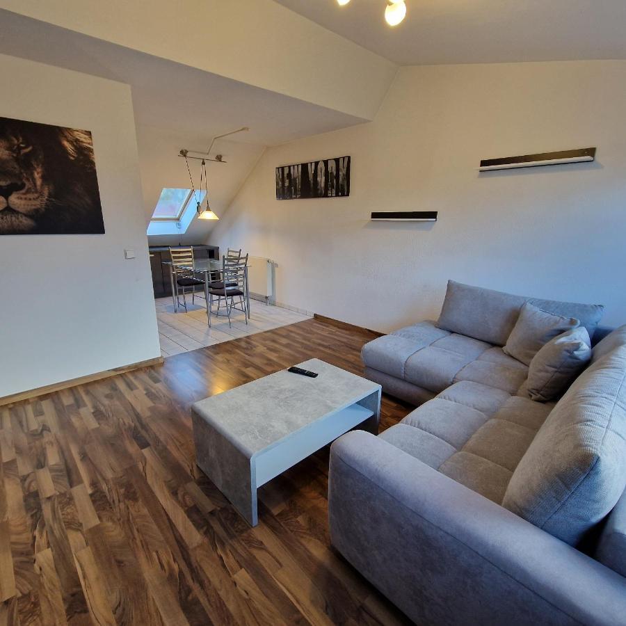 Dm Hotels & Apartments - Apartment Dosborn 5-9 Dingelstadt Екстериор снимка